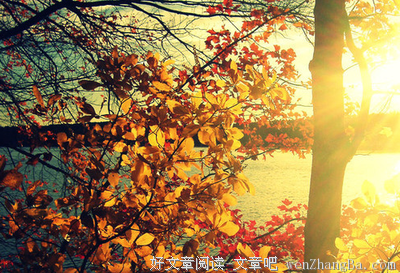 《惶然录》经典语句