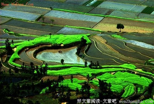 最新的《我坐在琵卓河畔，哭泣》语录摘抄大全