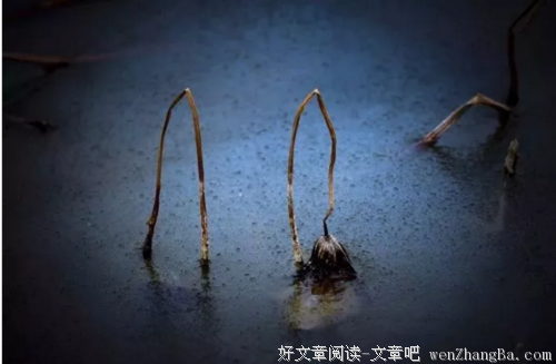 负责任最苦，尽责任最乐