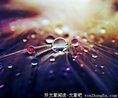 《那些不值钱的经验》读后感精选10篇
