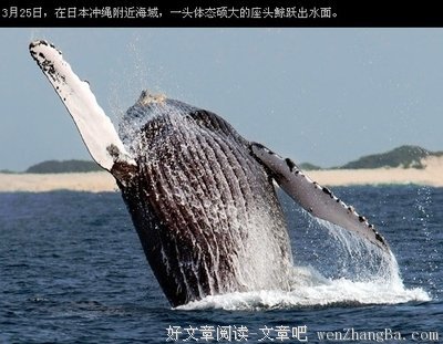 《妻子的诱惑》观后感精选10篇
