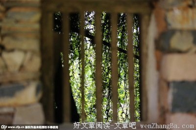 《变身》经典读后感10篇