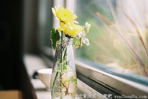 自欺有个浪漫的名字：希望
