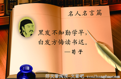 关于敏捷的名言