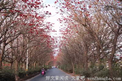 最经典的《穿越西元3000后》佳句摘抄