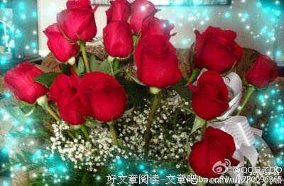 描写名满天下的语句摘抄