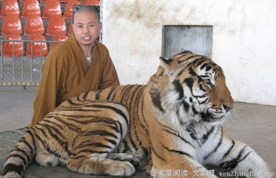 为什么第一批90后都出家了？