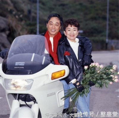 最全的《冷少的替身妻》经典语句