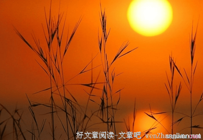 描写一年之计在于春的语句摘抄