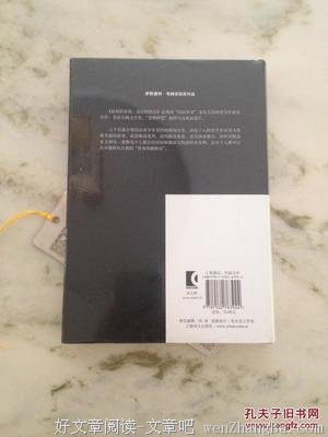 《最初的爱情，最后的仪式》读后感10篇