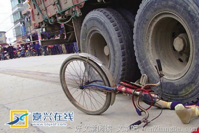 两个轮子一个岛的读后感10篇