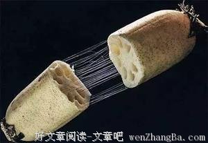 关于专断的语句