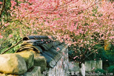2017眉如黛精彩语录