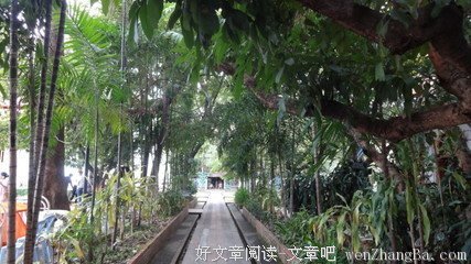孤单格言警句