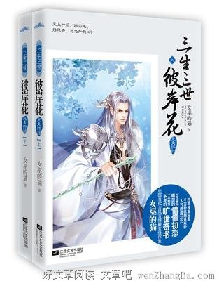 女巫的猫名言名句