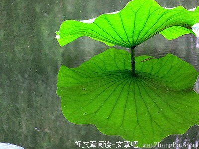 最经典的《亿万老婆买一送一》小说句子大全