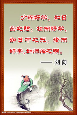 叶凋零的名人名言