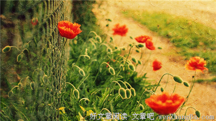 人到中年，不能怂