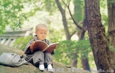 聪明和智慧是两回事