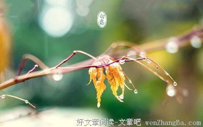 白露