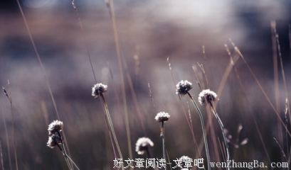 一岁年龄，一岁人