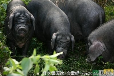 2017雅南(Yarona)精彩语录