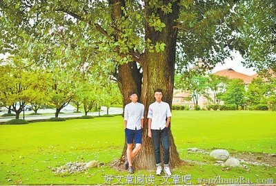 苑子文，苑子豪经典句子