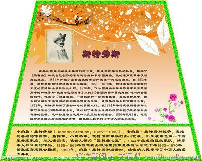 描写斯特劳斯的语句摘抄