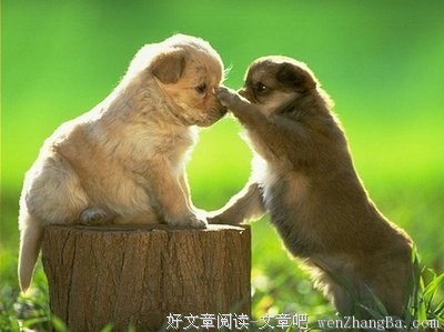 勾肩搭背的名言_关于勾肩搭背的名言