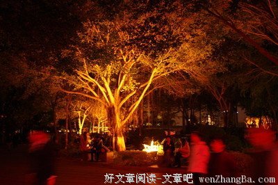 初日的语句摘抄_关于初日的语句
