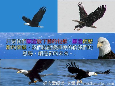《返老还童》经典句子大全