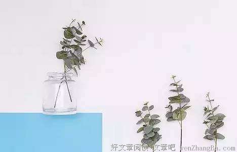 惟愿此生，过平和而温暖的生活