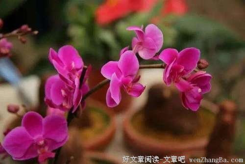 相信幸福，就会遇见幸福