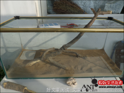 《入骨相尸Ⅱ》之实验室（上）