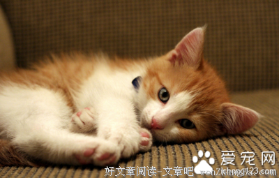 为什么有人会违反趋乐避苦的本能？