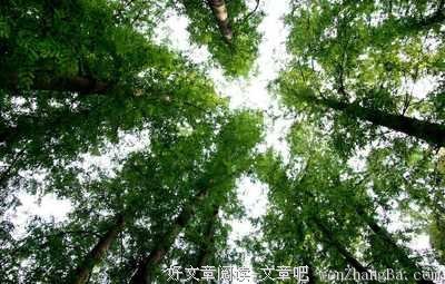 《你就是艇长》读后感10篇