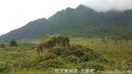 雾之旗读后感精选10篇