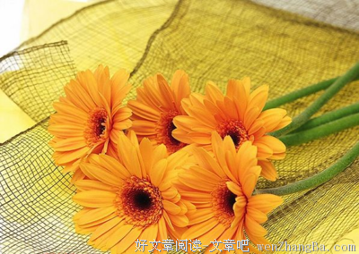 关于布达拉的唯美语录