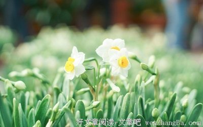 蠢蠢的句子
