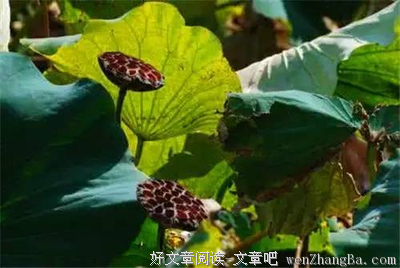 关于支离破碎名言名句