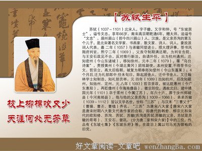 关于诺贝尔的名言
