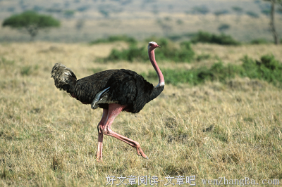 长得好看，是因为你脾气好