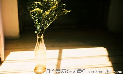 心软的语句摘抄_关于心软的语句