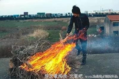 《穷街陋巷》好看吗？经典观后感10篇