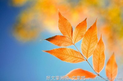 关于有始有终的格言