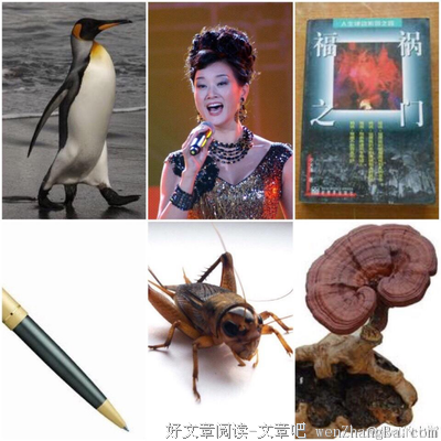 关于生死与共的格言