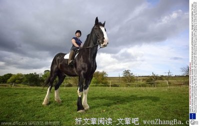 高头大马的句子