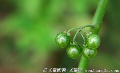大顺的名人名言