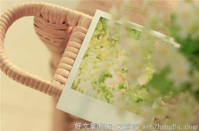 最新的《白说》好段摘抄