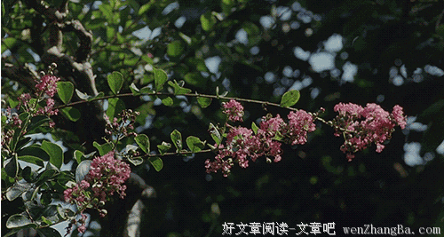 养成好习惯